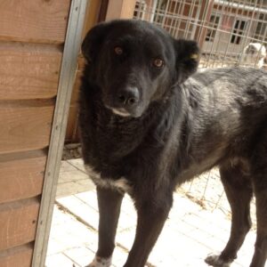 RELA - reserviert NH vermittelt