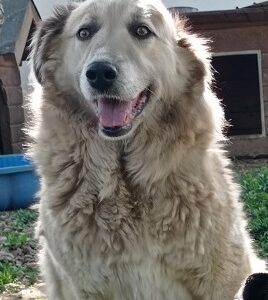 SVETA - RBB 24.03.2022