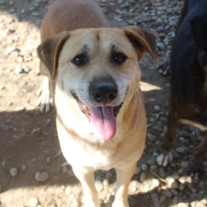 MAJU Reserviert Manuela (24/09) vermittelt