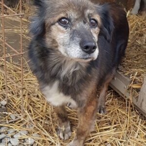 SPIROU - reserviert IH DR (02.10.) - vermittelt