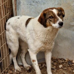 JANE DOE - RBB 06/2022