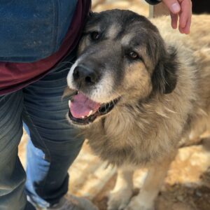 JAKOUMA - reserviert Manuela (28/07) - RBB 08/2022