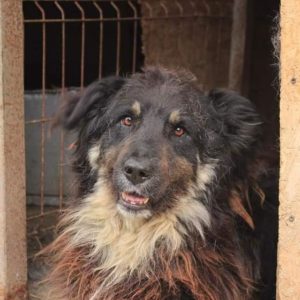 TUKK - HSH Mix - reserviert Manuela - vermittelt