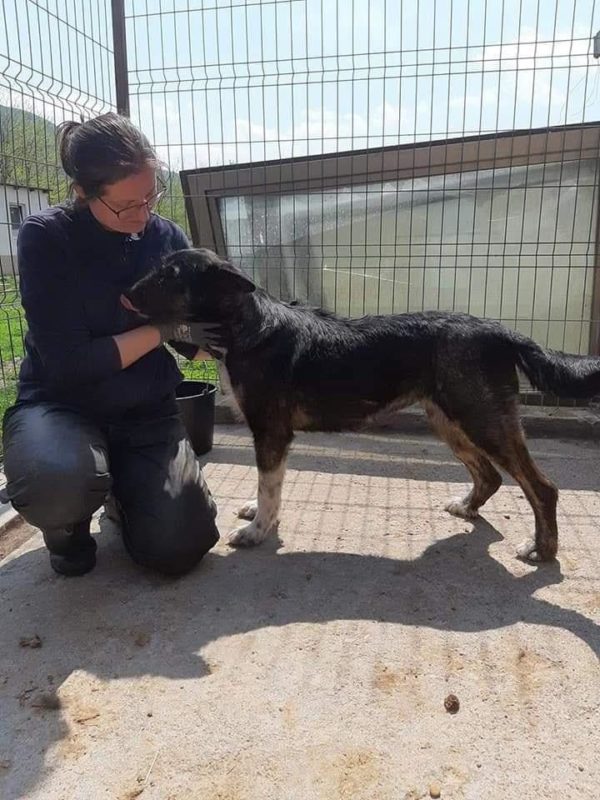 COSIMA - reserviert TH Filderstadt - vermittelt – Bild 5