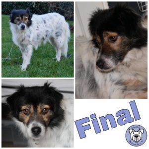 Final in 21493 Möhnsen *reserviert*