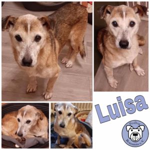 Luisa in 56294 Münstermaifeld