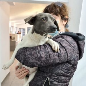 KATY - reserviert THL DogR - vermittelt