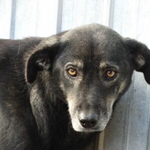 FRANKA (TRIXI) - RBB 12.02.2022