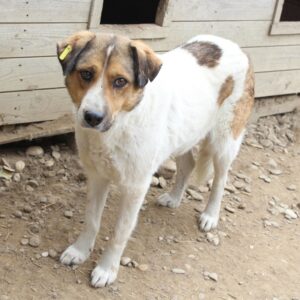 AMON - RBB 03.11.2021