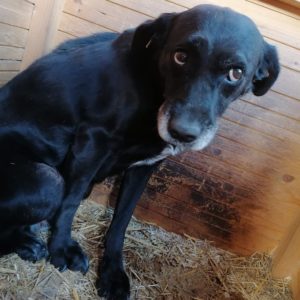 GIANNI - hat Interessenten NadineH - vermittelt