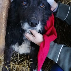 JAKE - RBB 25.03.2021