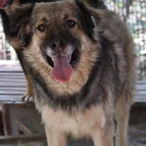 ADELINE - reserviert Manuela - vermittelt