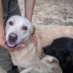 APOLO - hat Interessenten NadineH - vermittelt