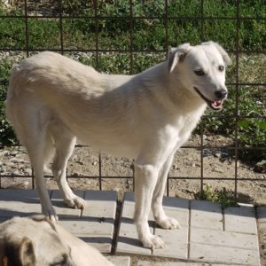 ARJONA - vermisst 08/21