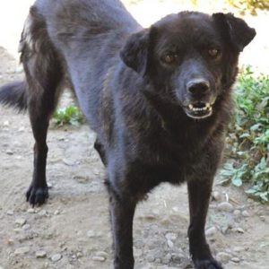 ARNE - vermisst 08/21