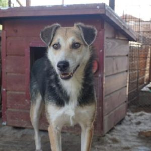 AURA - vermisst 08/21 -