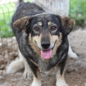 AYIE - vermisst 01/2021