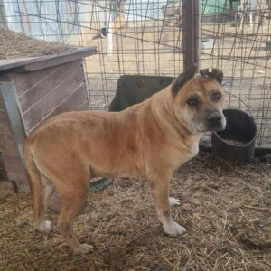 AARTON - RBB 11.07.2022