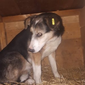 BAMBINI - vermisst 07/2021