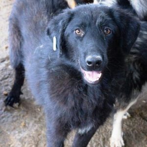 CARACAS - reserviert TH Andernach - vermittelt