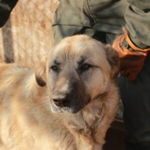 CARLO - RBB 05.08.2021