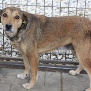 CASSY reserviert NadineH - vermisst 05/2021