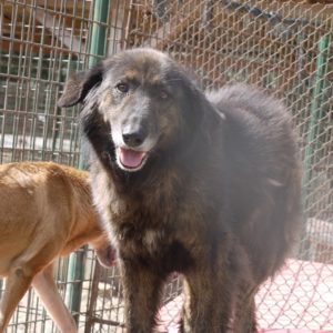 CAYSA - reserviert Manuela - vermittelt