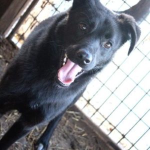 CLOUSEAU - RBB 12/2020