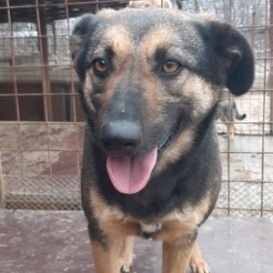 CATHERINE - reserviert TH Andernach - vermittelt