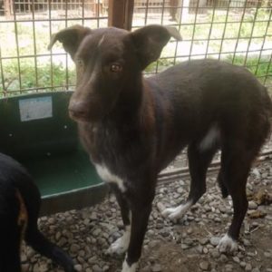 DUKKAH - vermisst 05/2022