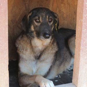 EBBY - reserviert Manuela - vermittelt