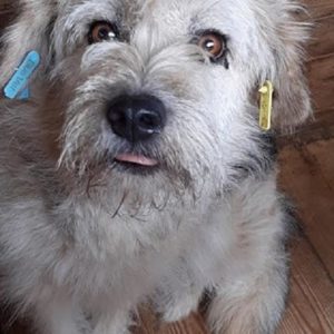 ELAN - reserviert für ES (MG) - vermittelt