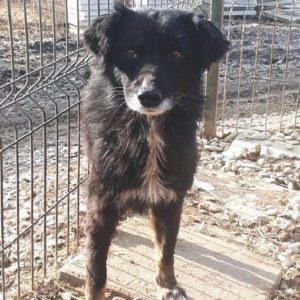 ELODIE reserviert NadineH - vermisst 08/21