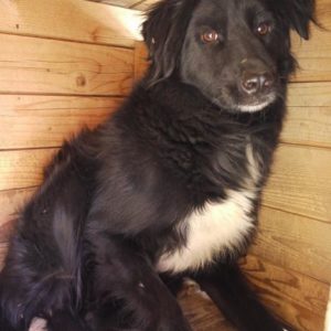 EOWYN - reserviert NH vermittelt