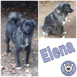 Elena in 21521 Dassendorf