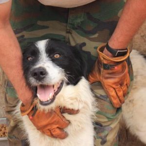 FERDIE - RBB 08.05.2021