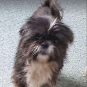 FIETEE - reserviert THL - vermittelt