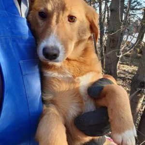 FIRLA - reserviert Manuela - vermittelt