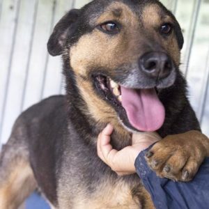 FLAVIU (HENRY) - RBB 05/2021