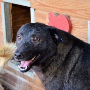 FRAJO - reserviert Manuela vermittelt