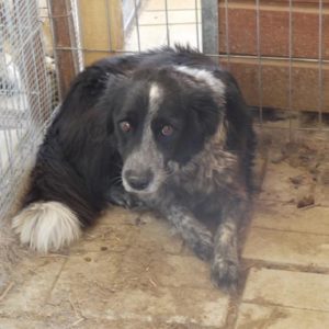 FURLA - vermisst 08/2021