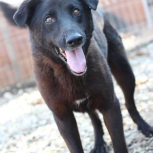 GRAPPA - vermisst 05/2021