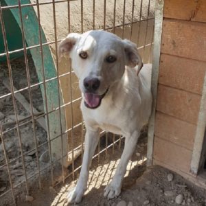 HABBO - vermisst 11/2021