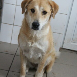 TENNA - reserviert TST Rösrath vermittelt