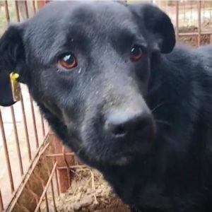 JANA - reserviert Manuela - vermittelt