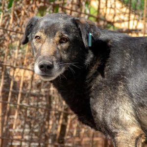 JEFFREY - vermisst 11/2021