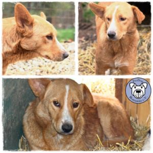 JEREMY - vermisst 11/2021