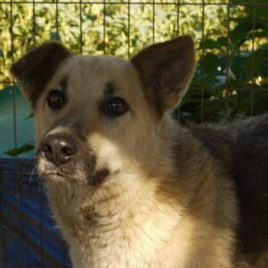 JONES - vermisst 10/21