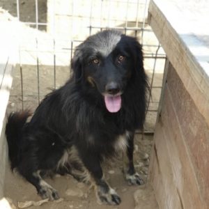 JORDY - vermisst 08/21