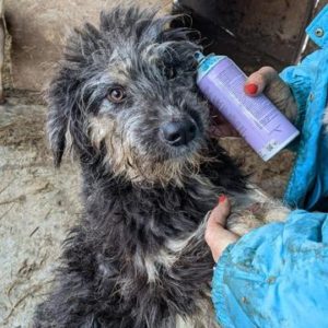 JOSEFINE - reserviert Nina - RBB 24.08.22